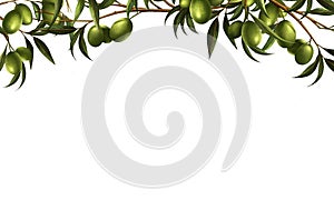 TheÂ olive lay out template